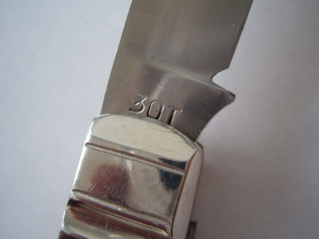 307924.jpg