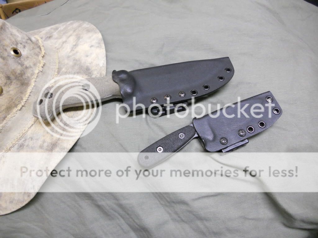 DSCN0218.jpg