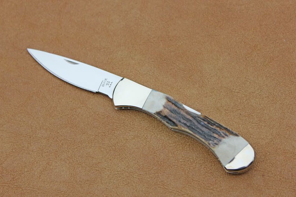 stag532a.jpg
