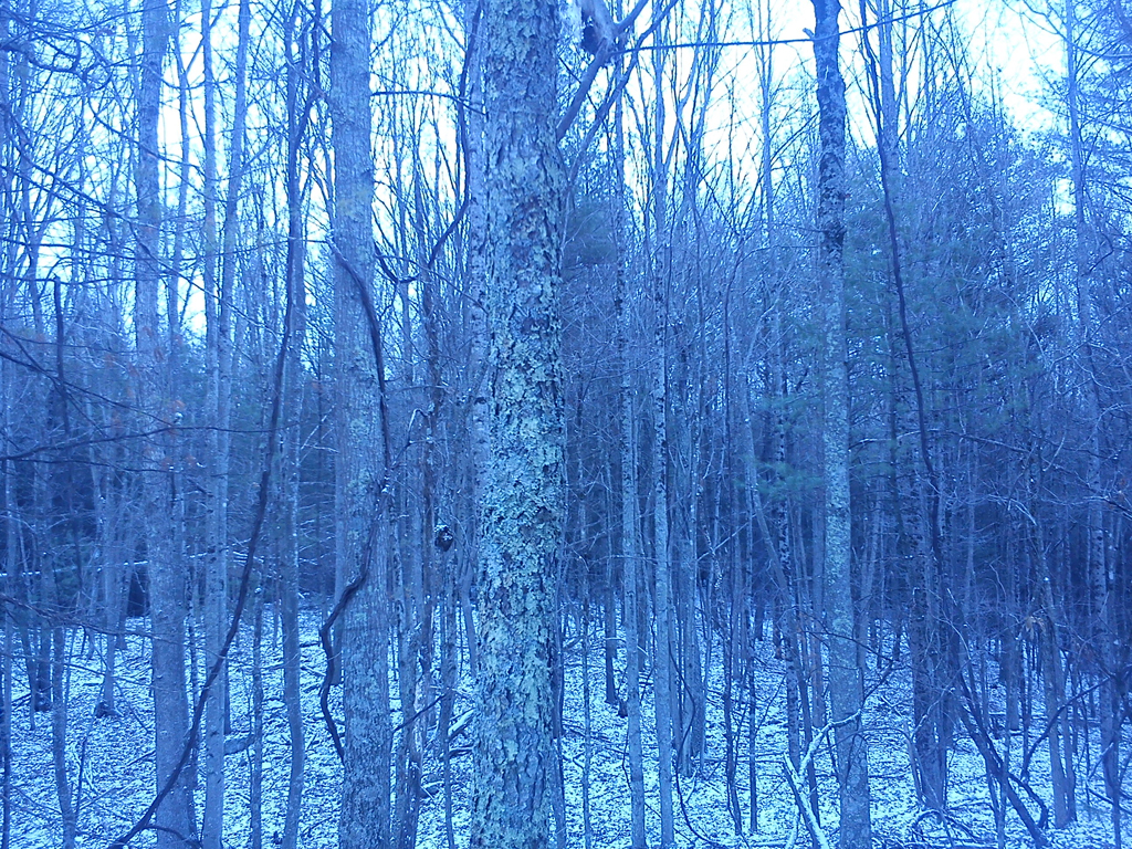 12438036523_fa32a38d8d_o.jpg