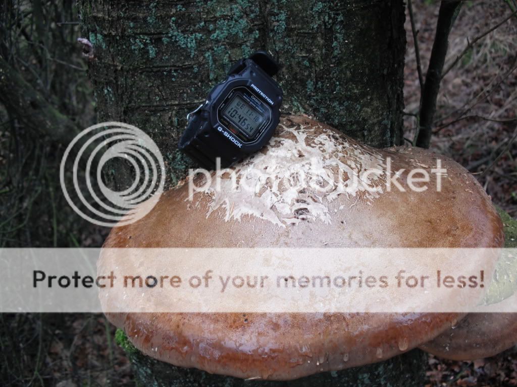 DSCF0030.jpg