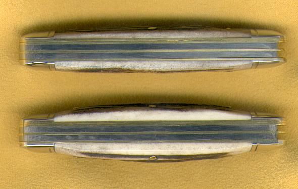 StagDetailsB-1.jpg