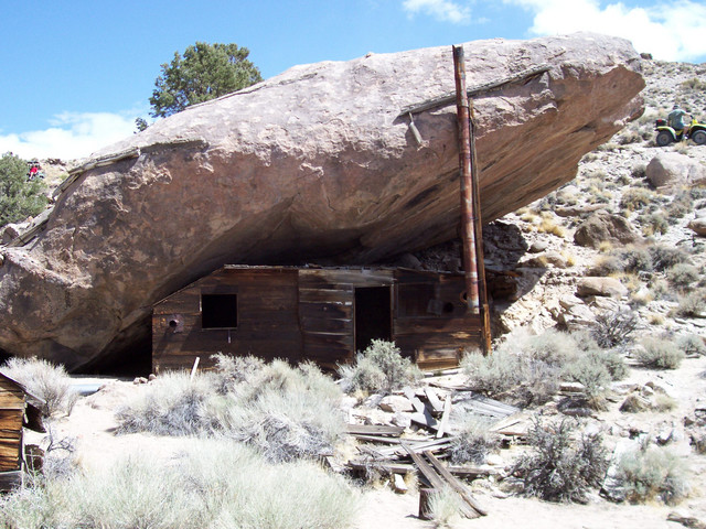 living-under-a-rock.jpg