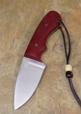 redwhitetail002.jpg