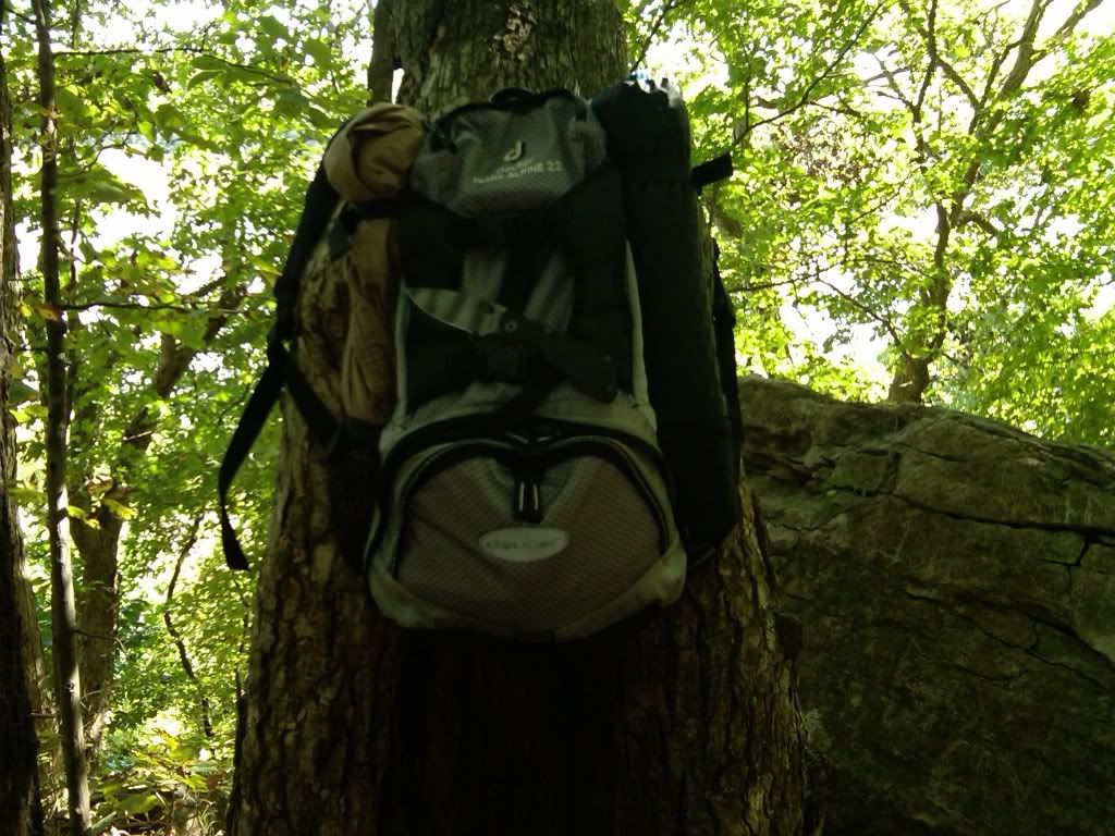 IMG00060-20100927-1526.jpg