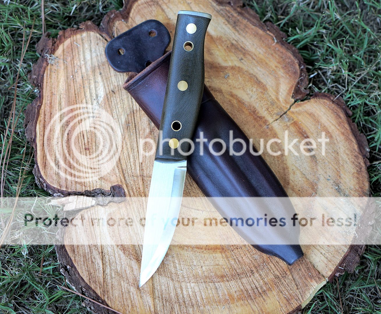 DSC00440_zpsxayfjywj.jpg