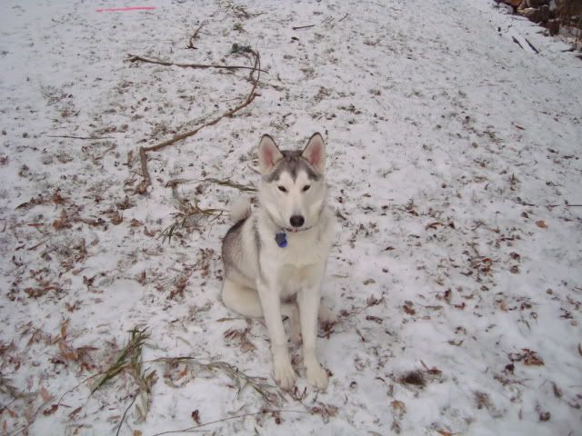 DSC00282.jpg