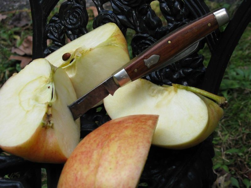 832applesnackb.jpg