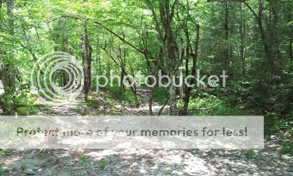 2012-05-25134635.jpg