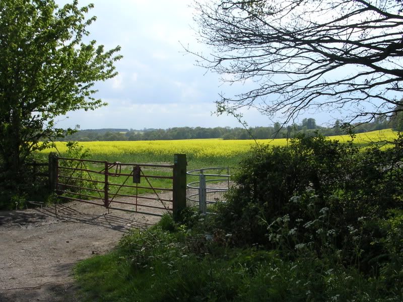 DSCN0842.jpg