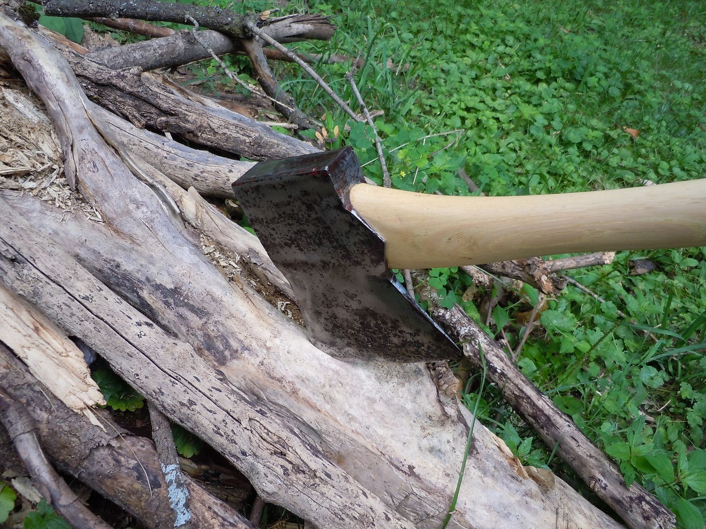 DSCN1098.jpg