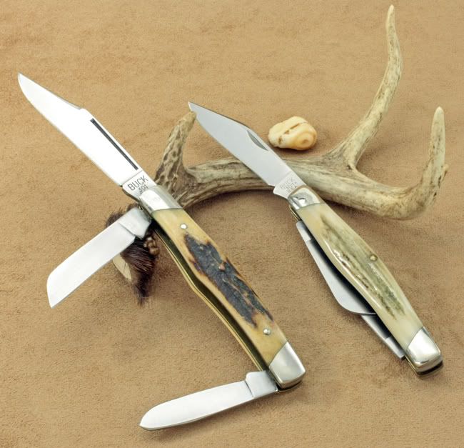 301-Stags.jpg