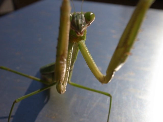 2012.10.09.R0015353.JPG