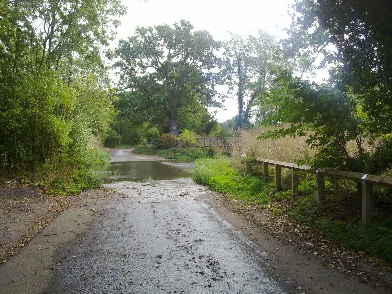 12092011124.jpg