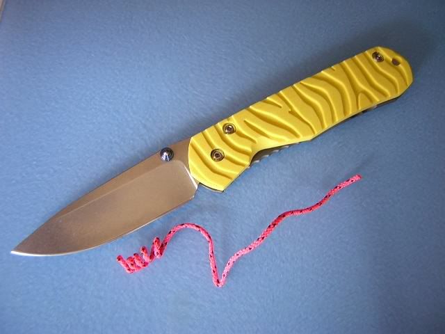 yellzebra2.jpg