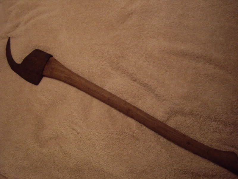 IMGP1887.jpg