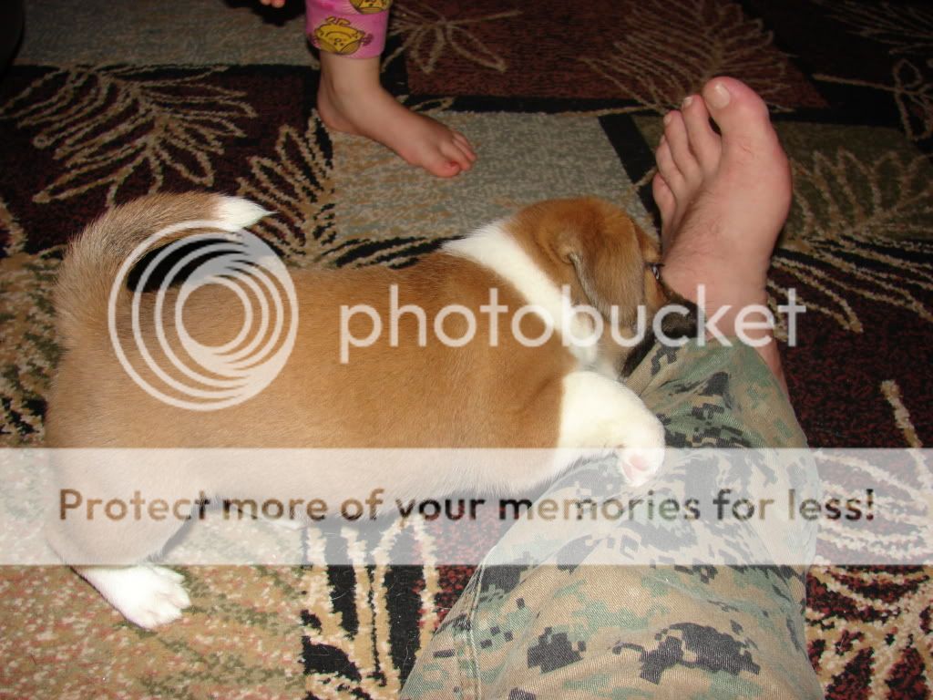 macybear010.jpg