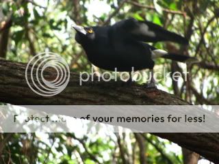 Camping2010001.jpg