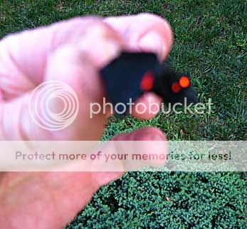 IMG_1236.jpg