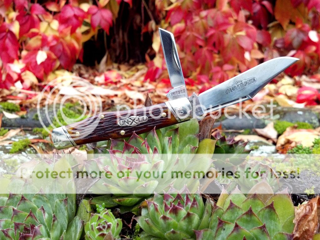 Outlaw_small_zpsff794075.jpg