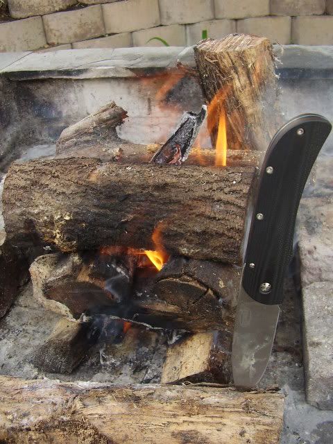 P2250010.jpg