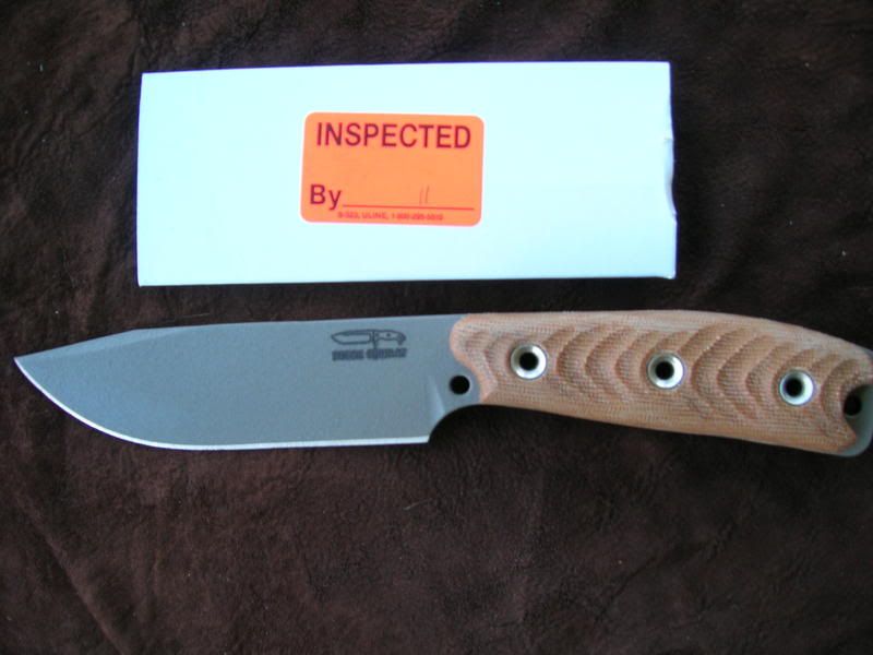 BUSSESSAR56-08.jpg