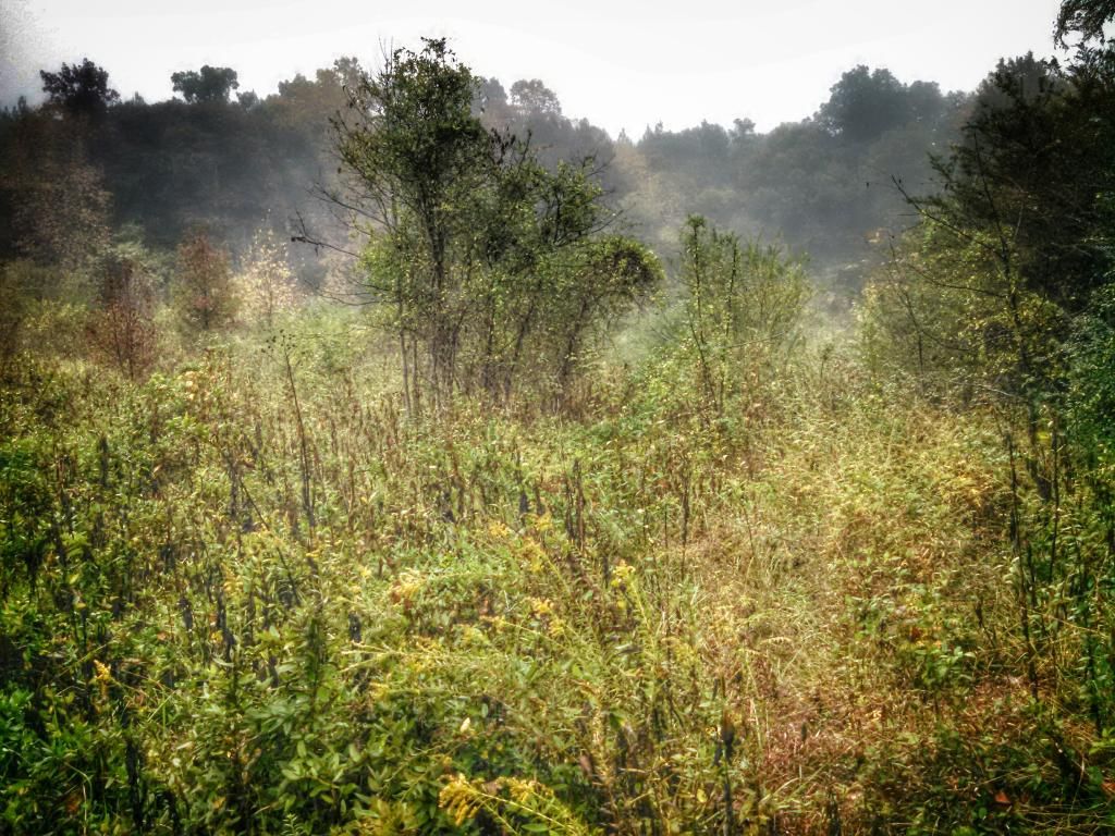 IMG_20141013_092606_6702.jpg