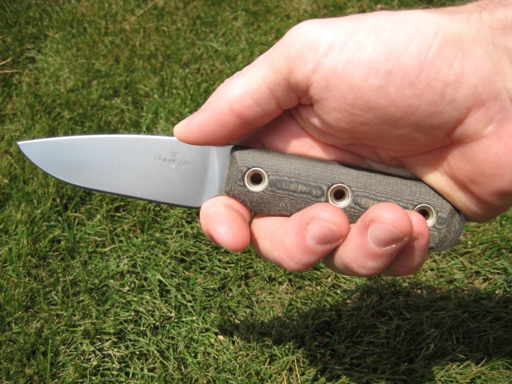 SwampRat-Vexillariusinhand1c.jpg