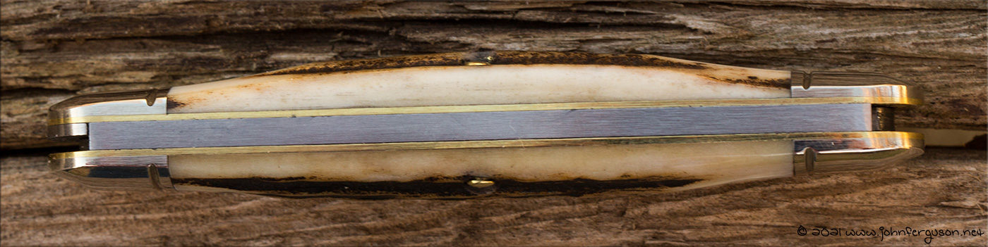 GEC68stag-4.jpg