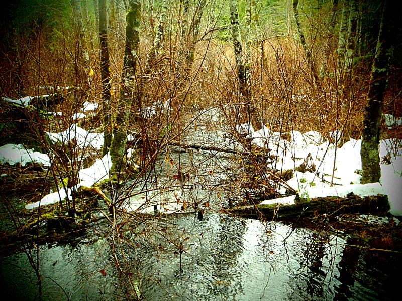 SpectacleLake2013009_zps7a2501d3.jpg