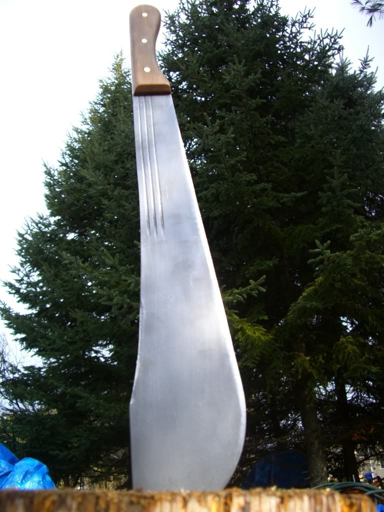 CIMG8672.jpg