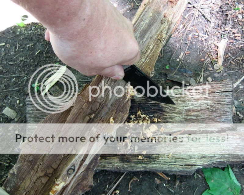 IMG_6257.jpg