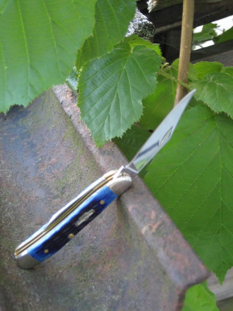 IMG_1492.jpg