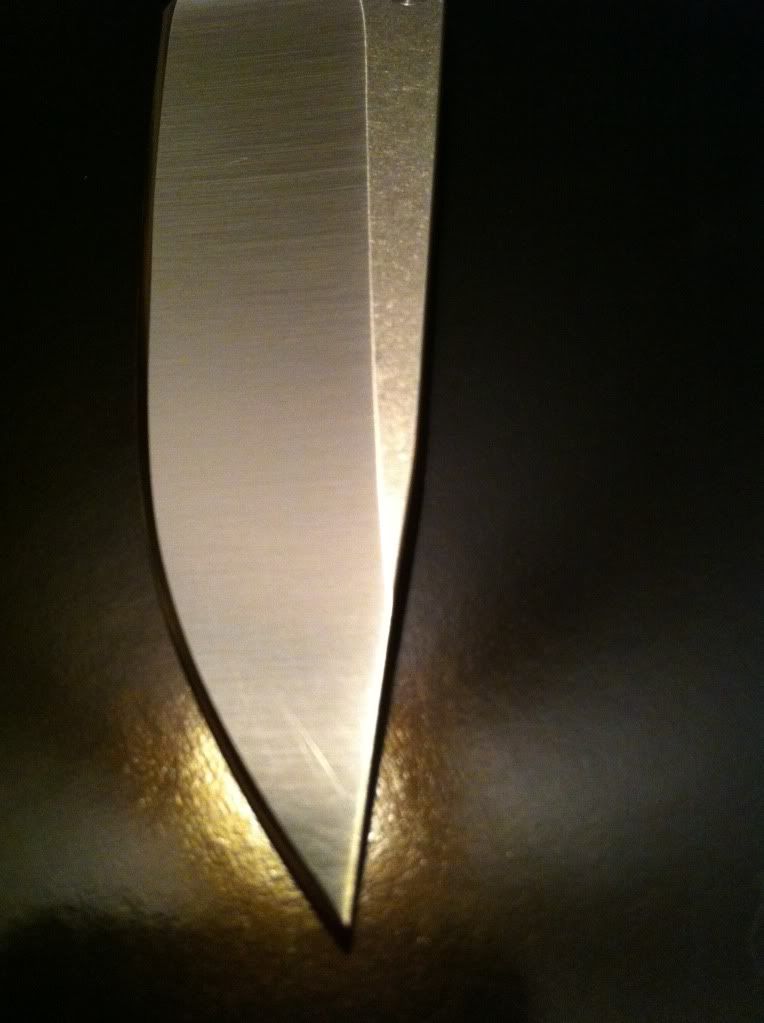 image-3.jpg