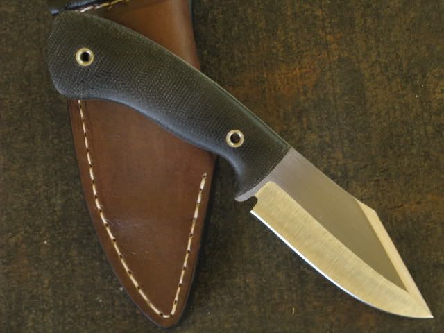 badgermodel007.jpg