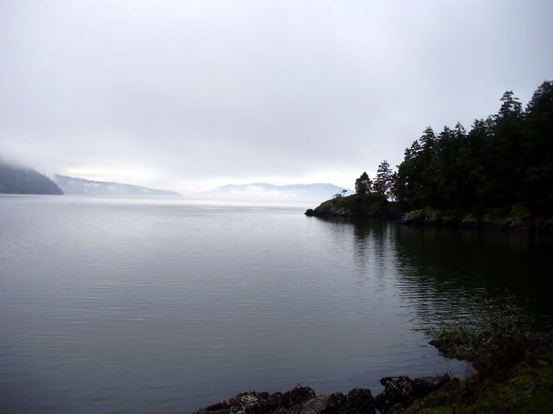 P1130022-1.jpg