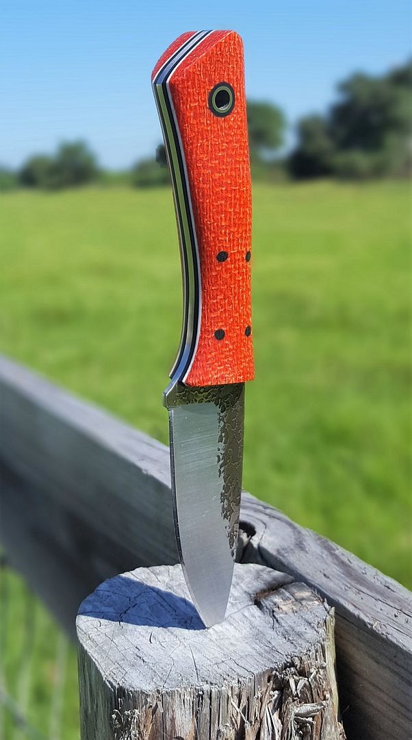 Shark%20Fence%20sm.jpg