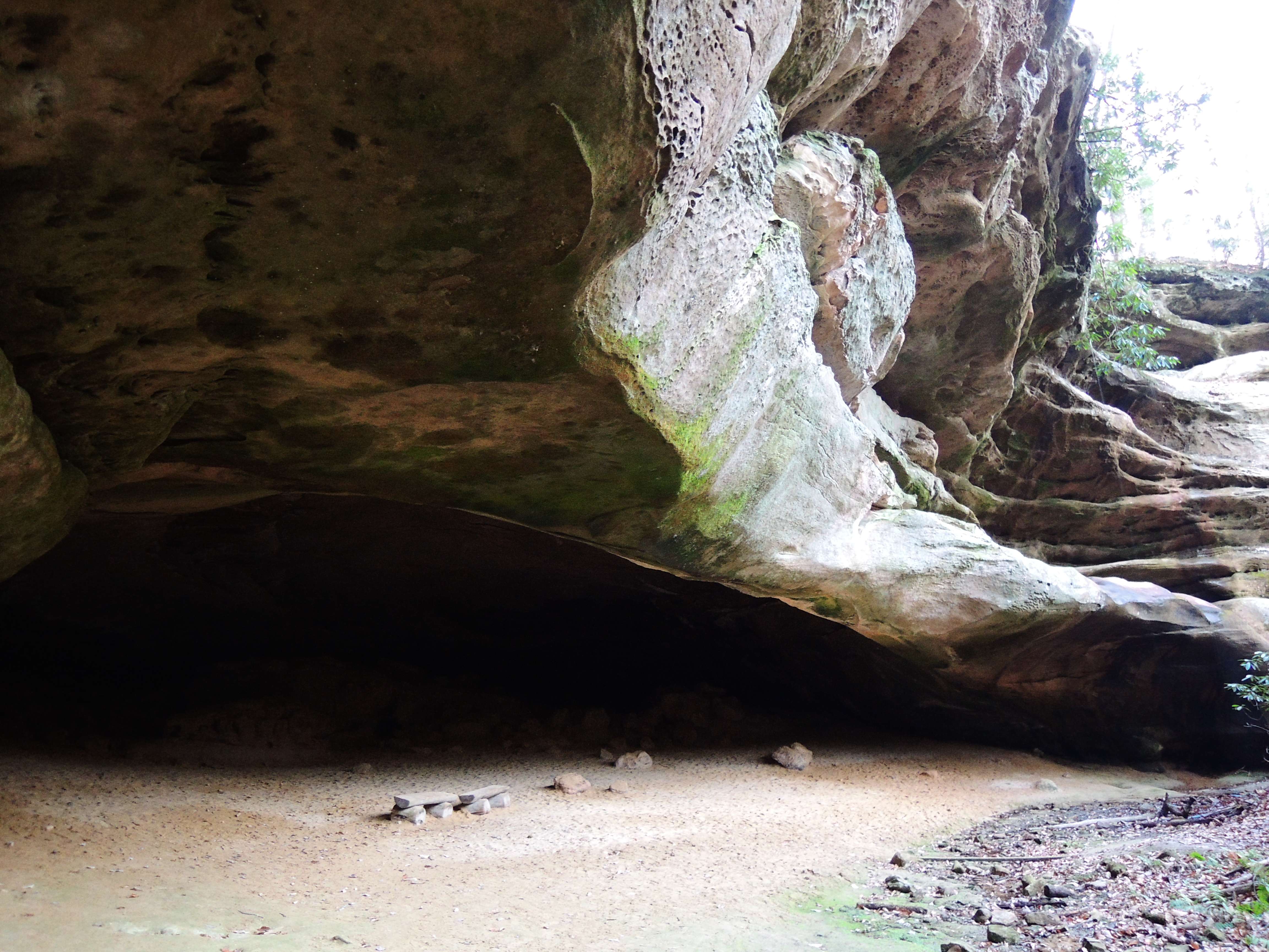 dscn4772.jpg