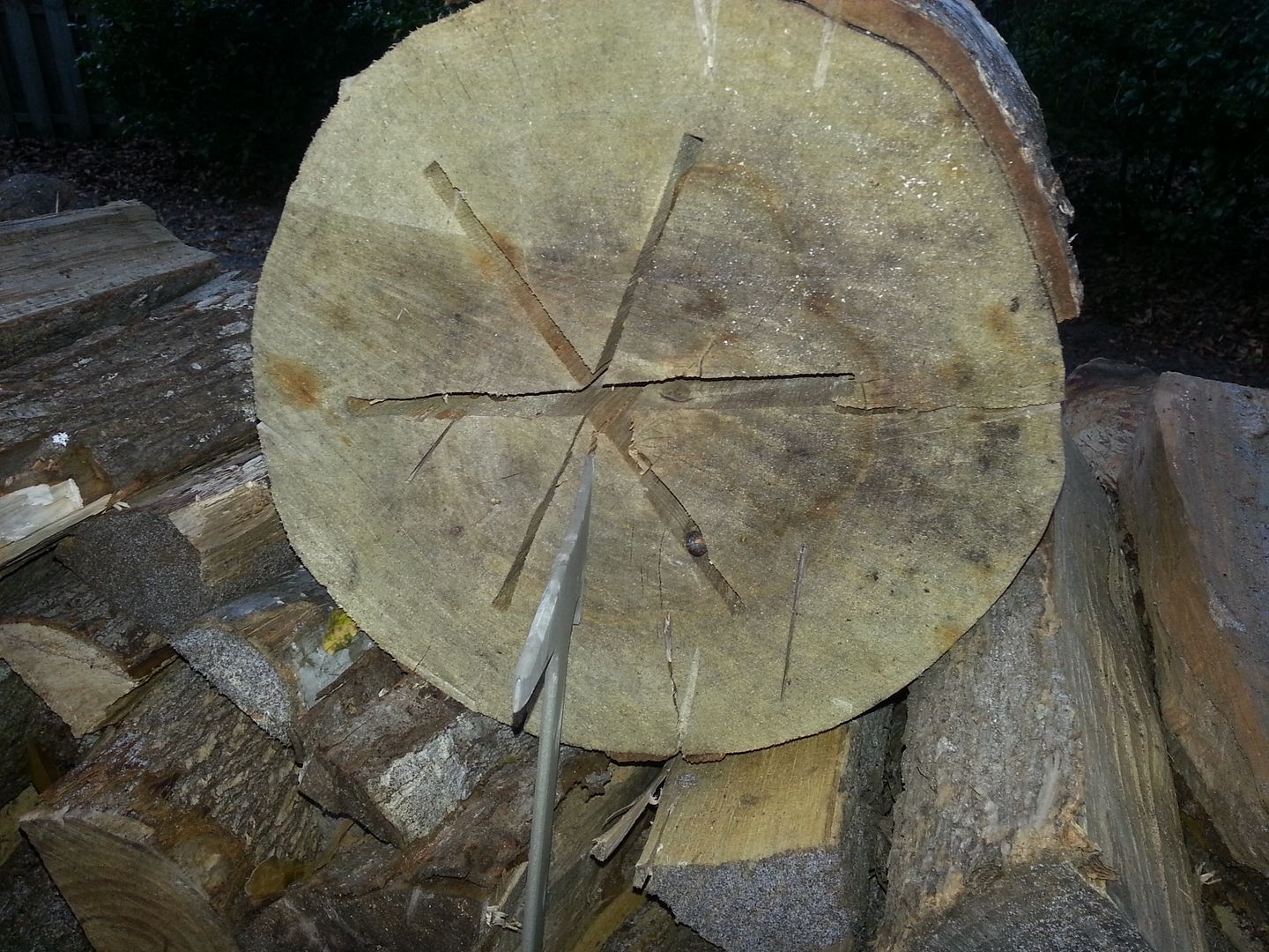 20130111_171646.jpg