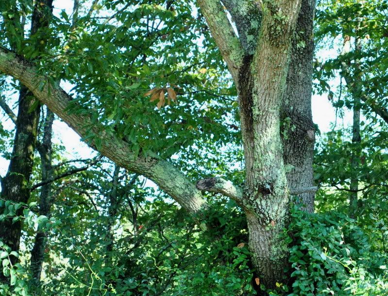 DSC_3576.jpg
