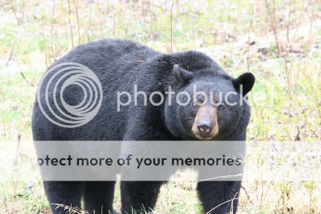 IMG_0487.jpg