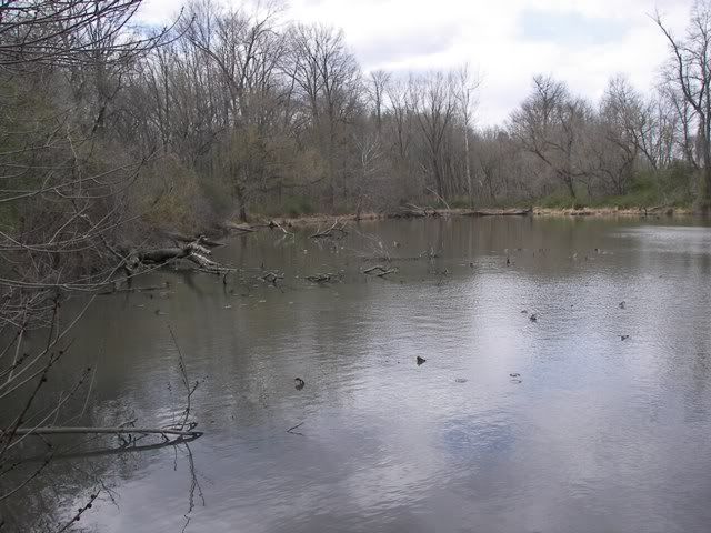 100_4740.jpg