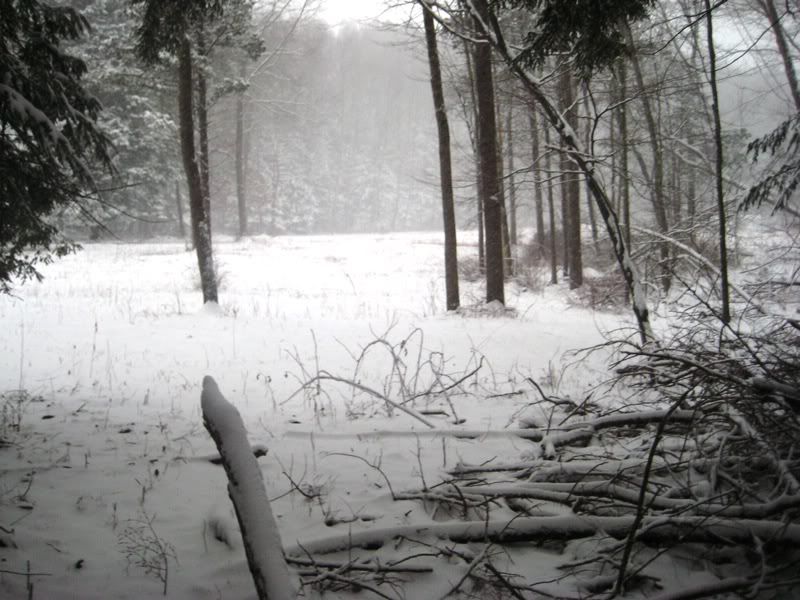 snow028.jpg