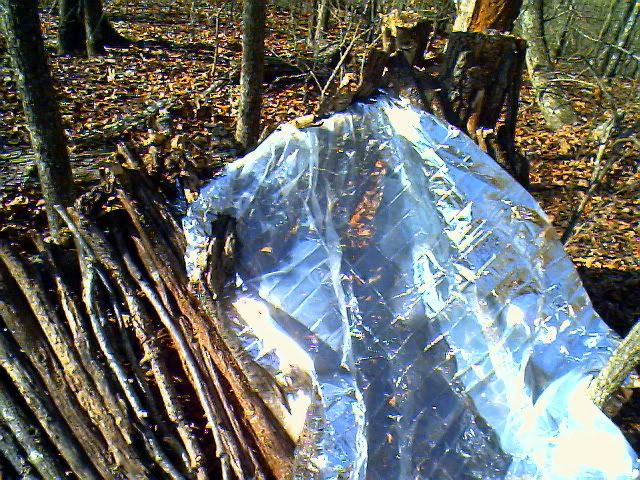 IMG00964.jpg