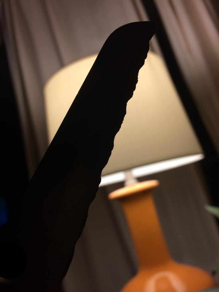 DownloadedFile-4_zpsf2f39c06.jpeg