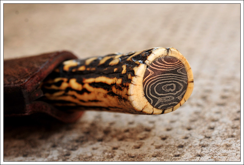 thincriollo7.jpg