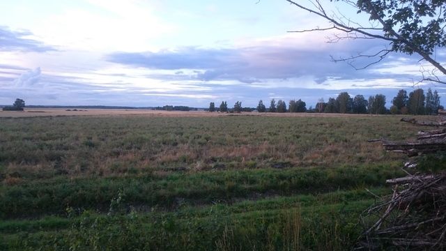 DSC_0134_zpskbnizvfq.jpg