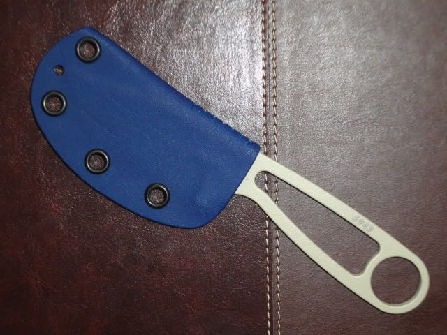 DSC00729.jpg