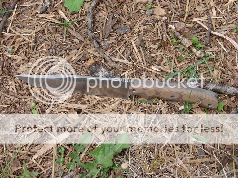 DSC06889.jpg