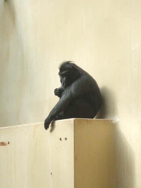 5543446687_ab86ec5be8_z.jpg